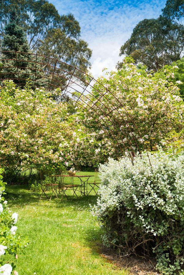 Hollyhock Bed & Breakfast Macedon Exterior photo
